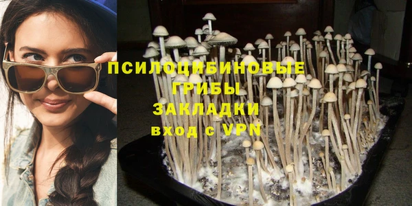 прущие крисы Арсеньев