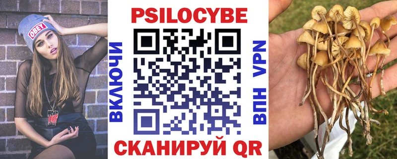 Купить закладки  Рыльск  Псилоцибиновые грибы MAGIC MUSHROOMS 